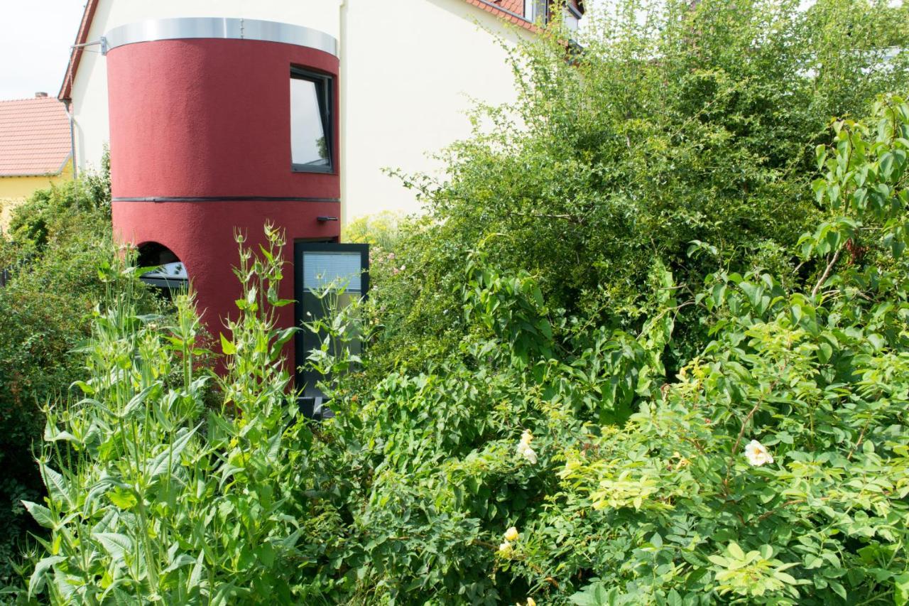 Das Alte Kino In Barth - Das Gartenhaus Luaran gambar